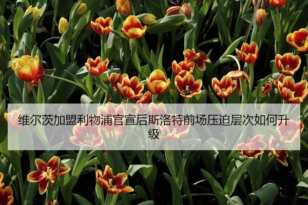 维尔茨加盟利物浦官宣后斯洛特前场压迫层次如何升级