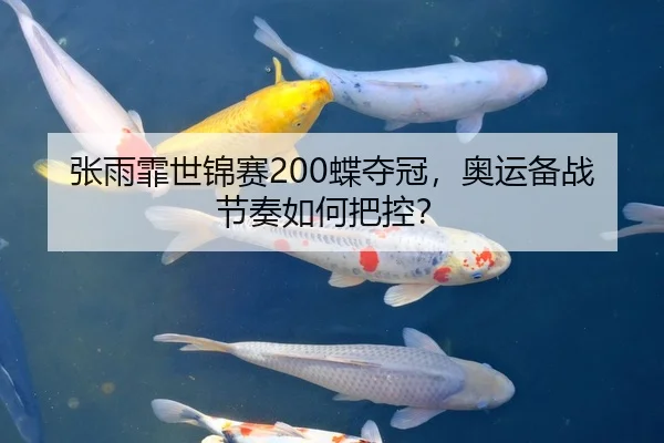 张雨霏世锦赛200蝶夺冠，奥运备战节奏如何把控？